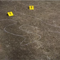 Unattended Death Cleaning 0